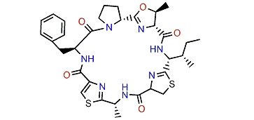 Lissoclinamide 2